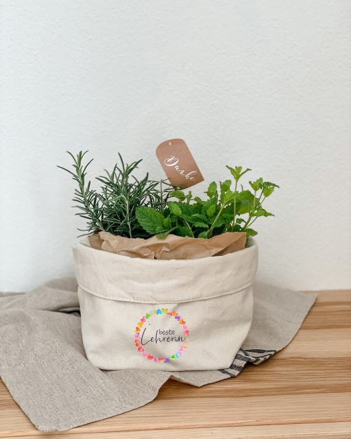 Perfekte Geschenke für Lehrer:innen die uns das ganze Schuljahr begleitet haben. Den hinter jedem erfolgreichen Schuljahr steht eine großartige Lehrkraft. DANKE! 😊

#Geschenkidee #schulschluss #lehrergeschenk